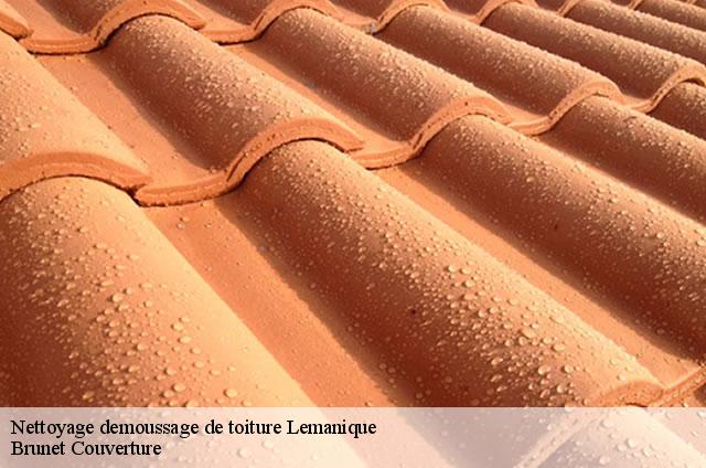 Nettoyage demoussage de toiture Lemanique  Brunet Couverture