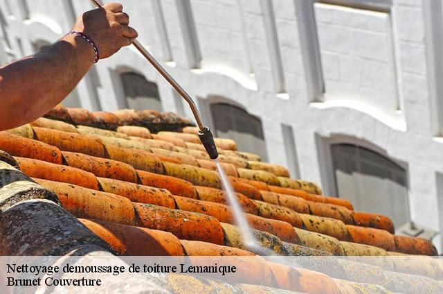 Nettoyage demoussage de toiture Lemanique 