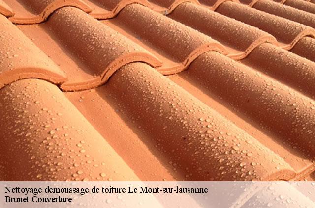Nettoyage demoussage de toiture  le-mont-sur-lausanne-1052 Brunet Couverture