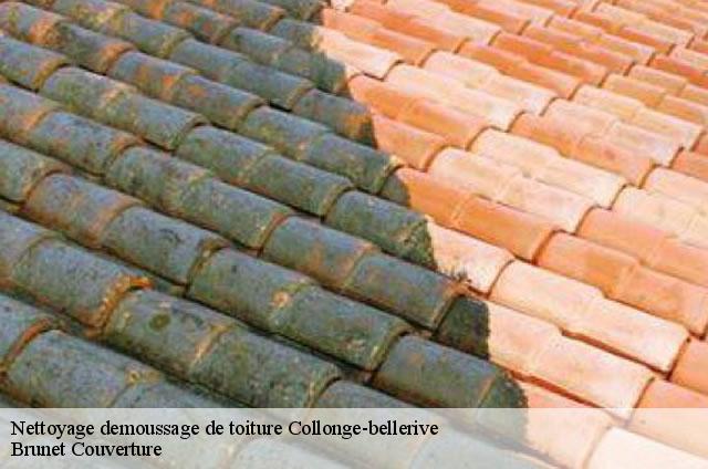 Nettoyage demoussage de toiture  1245