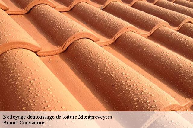 Nettoyage demoussage de toiture  montpreveyres-1081 Brunet Couverture