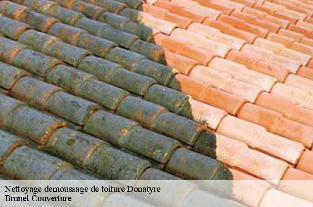 Nettoyage demoussage de toiture  1582