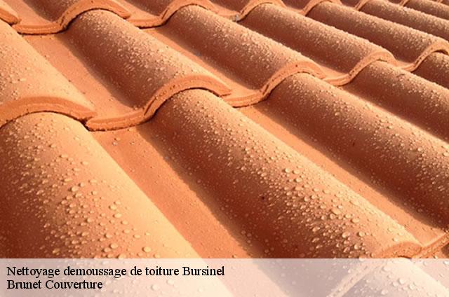 Nettoyage demoussage de toiture  bursinel-1195 Brunet Couverture