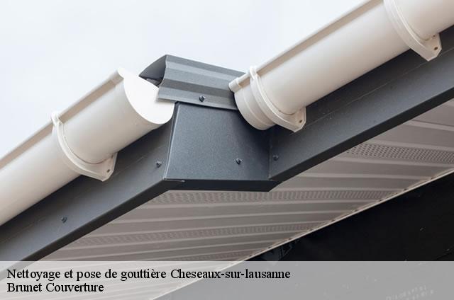 Nettoyage et pose de gouttière  cheseaux-sur-lausanne-1033 Brunet Couverture