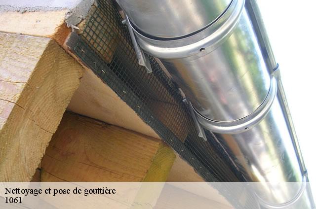 Nettoyage et pose de gouttière  1061