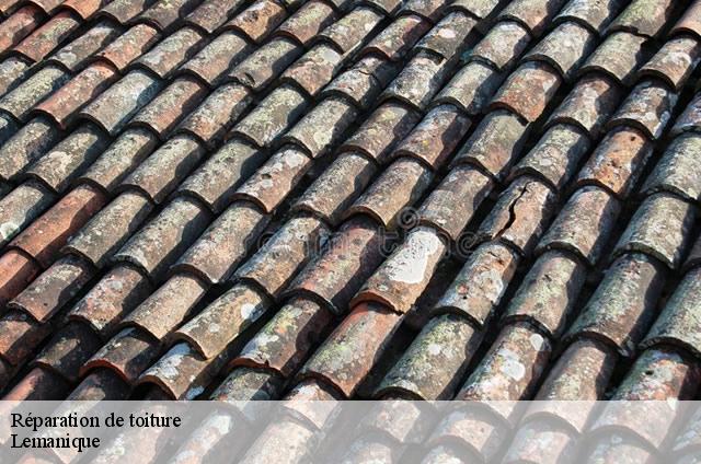 Réparation de toiture Lemanique 