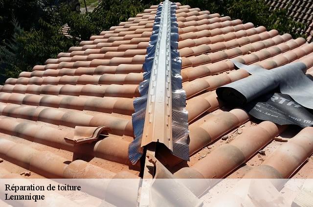 Réparation de toiture Lemanique 