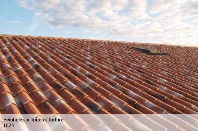 Peinture sur tuile et toiture  1025