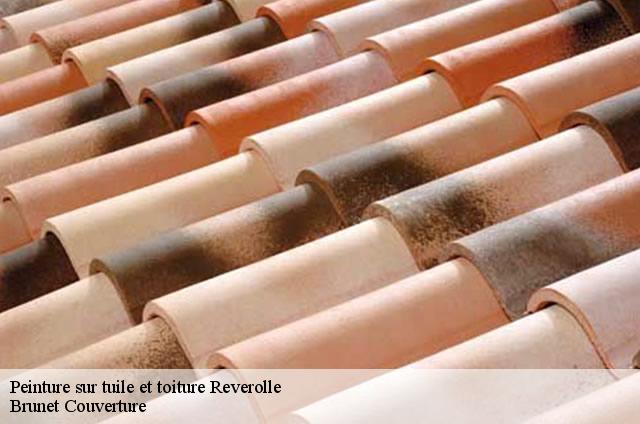 Peinture sur tuile et toiture  reverolle-1128 Brunet Couverture