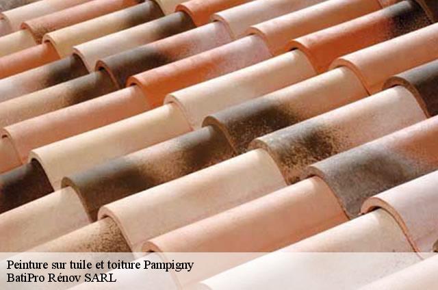 Peinture sur tuile et toiture  pampigny-1142 BatiPro Rénov SARL
