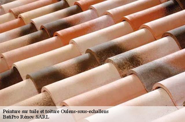 Peinture sur tuile et toiture  oulens-sous-echallens-1377 BatiPro Rénov SARL