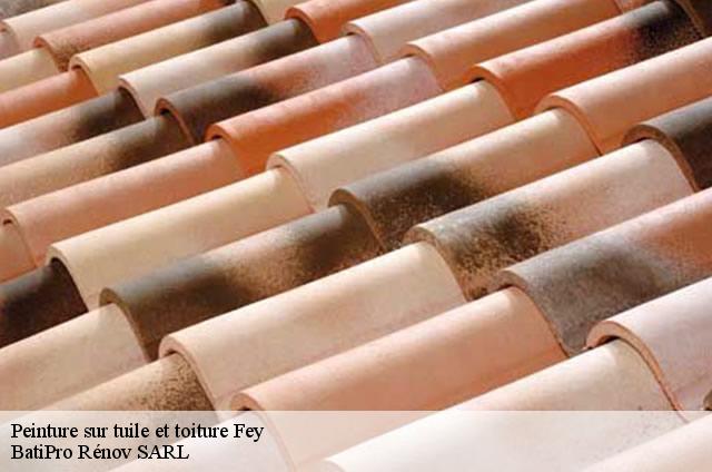 Peinture sur tuile et toiture  fey-1996 BatiPro Rénov SARL