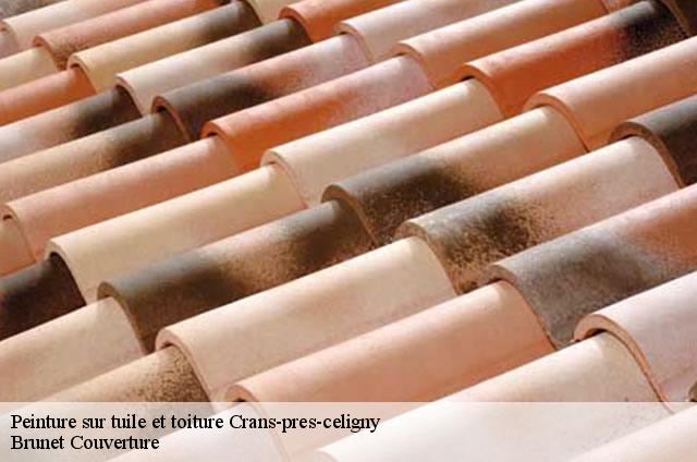 Peinture sur tuile et toiture  crans-pres-celigny-1299 Brunet Couverture