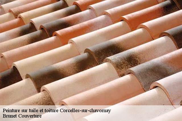 Peinture sur tuile et toiture  corcelles-sur-chavornay-1374 Brunet Couverture