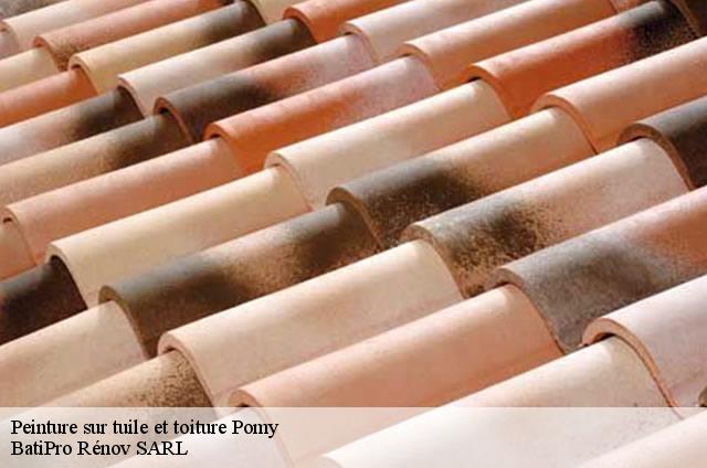 Peinture sur tuile et toiture  pomy-1405 BatiPro Rénov SARL