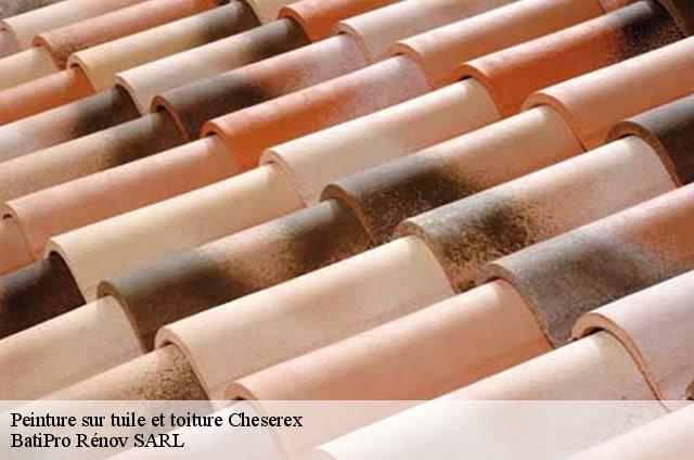 Peinture sur tuile et toiture  cheserex-1275 BatiPro Rénov SARL