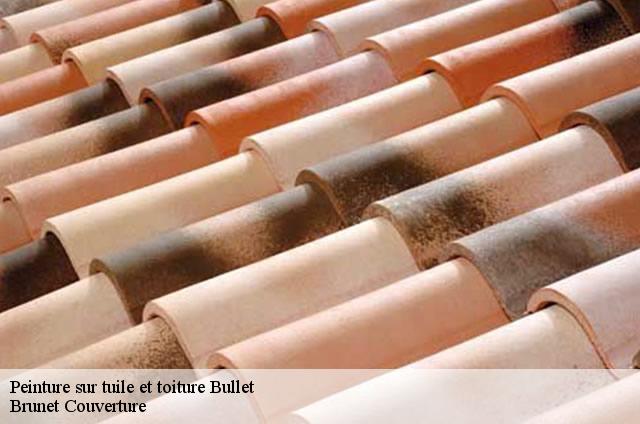 Peinture sur tuile et toiture  bullet-1453 Brunet Couverture