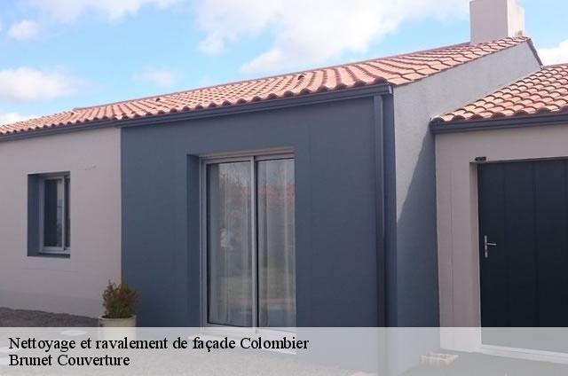 Nettoyage et ravalement de façade  colombier-2013 Brunet Couverture