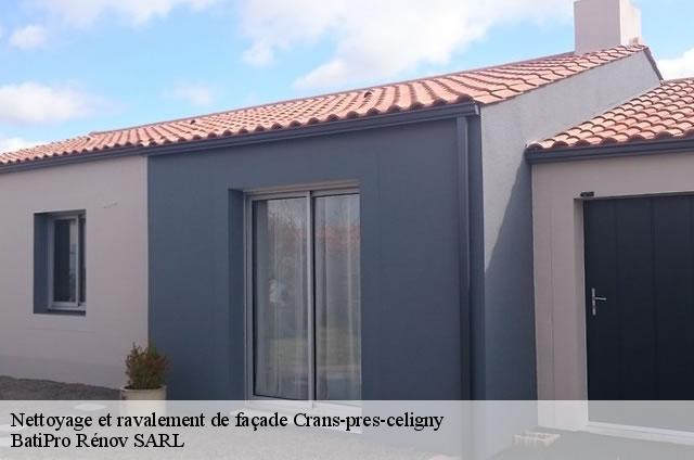 Nettoyage et ravalement de façade  crans-pres-celigny-1299 BatiPro Rénov SARL