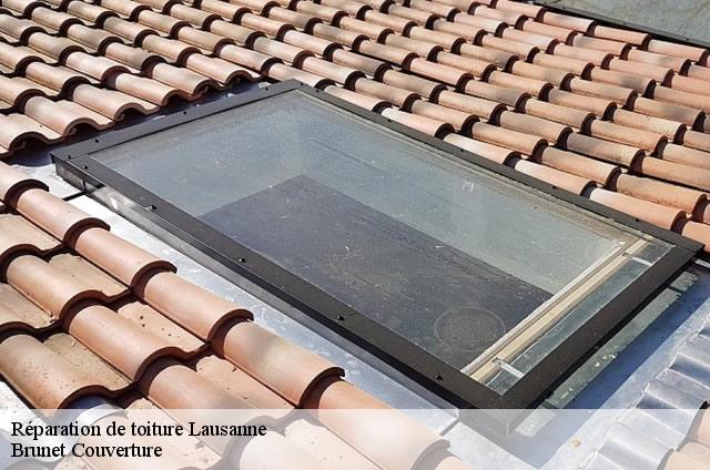 Réparation de toiture  lausanne-1018 Brunet Couverture