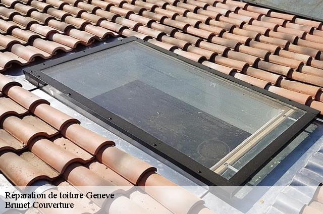 Réparation de toiture  geneve-1202 Brunet Couverture