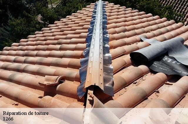 Réparation de toiture  1266