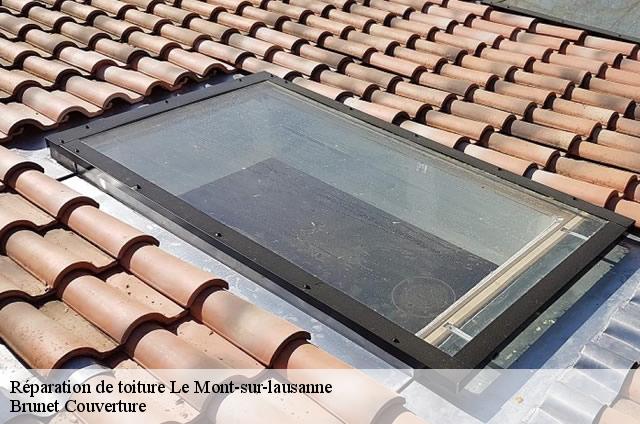 Réparation de toiture  le-mont-sur-lausanne-1052 Brunet Couverture