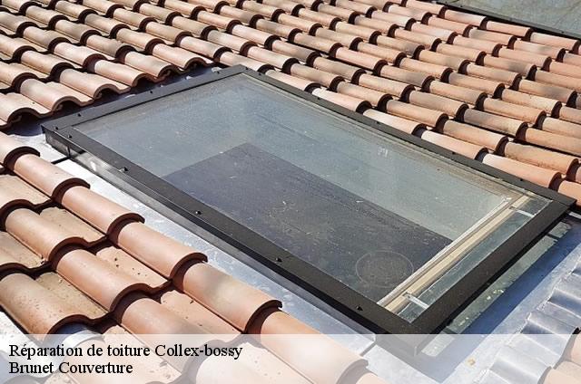 Réparation de toiture  collex-bossy-1239 Brunet Couverture
