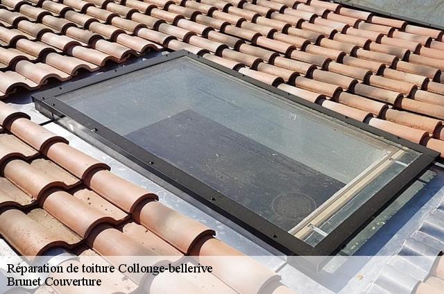 Réparation de toiture  collonge-bellerive-1245 Brunet Couverture