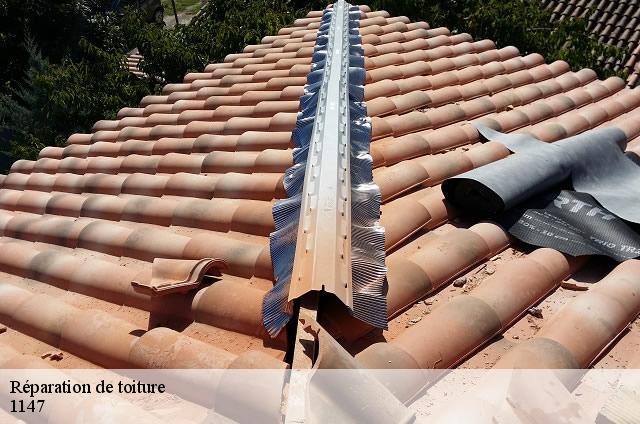 Réparation de toiture  1147