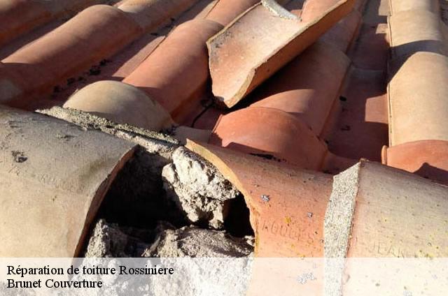 Réparation de toiture  1658