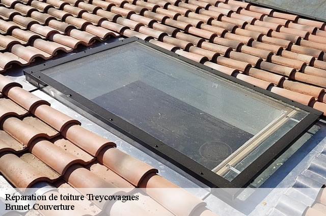 Réparation de toiture  treycovagnes-1436 Brunet Couverture