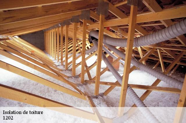 Isolation de toiture  1202